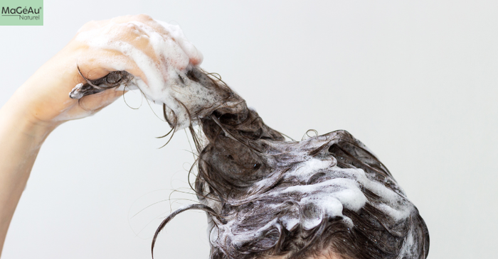 Shampooing