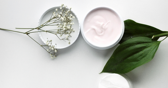 Exploring the Buzz: Organic vs. Vegan – What's the Scoop?