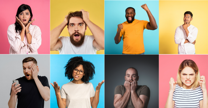 What is Elastin?