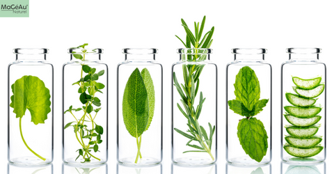 Organic Vegan Skin Care Products 