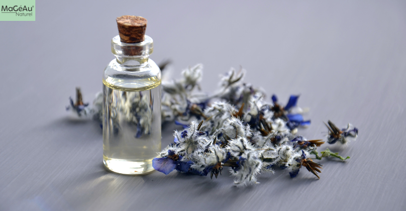 Fragrance Isn’t Always Friendly: Why Skincare Shouldn’t Smell ‘Nice’