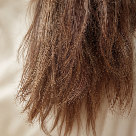 Close-up of wavy brown hair with a blurred background